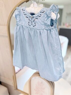 Light Blue Embroidered Ruffle Baby Dress